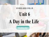 人教版七年級英語上冊同步課件 Unit 6 課時 7  Reading Plus 精品課件（包含音視頻）