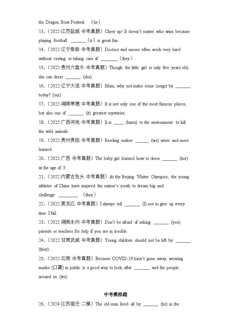 专题03代词专项练习（2）（单句填空）-【备战2024中考英语】中考英语语法专项突破（含答案与解析）第2页