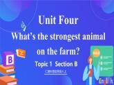 仁爱科普版英语八上 Unit 4 Topic 1 What's the strongest animal on th Section B 课件+音频素材