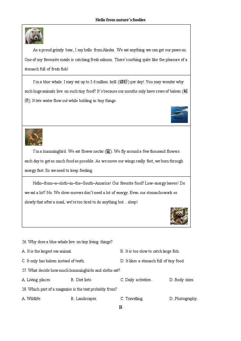 2025年江苏省连云港市九年级中考考试英语真题试卷(中考真题+答案解析)第3页