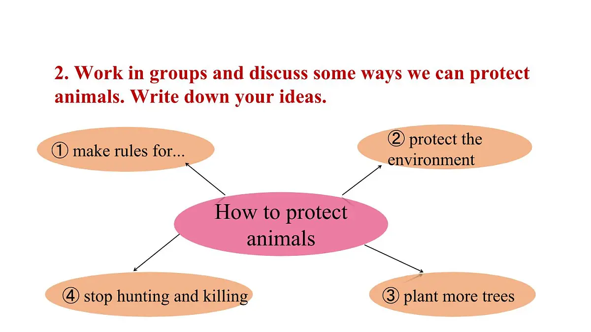 2025年冀教版七年级英语上册Unit 5 Animal friends 5. Lesson 5（课件）第7页