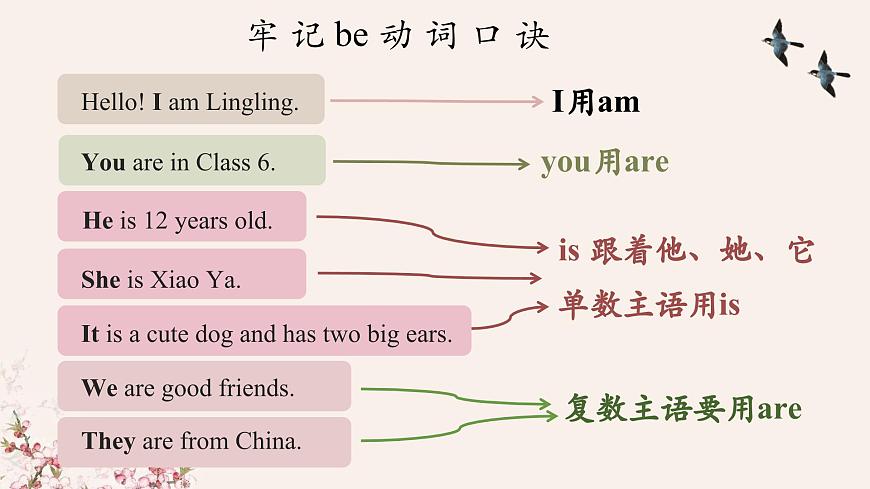 Unit 1 Lesson 5 Grammar in Use课件2-2 -仁爱科普(2024)版英语七年级上册第5页