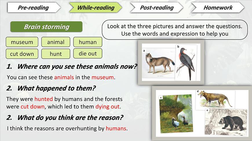 2025年新外研版英语七上：Unit 5 读写课 课件第3页