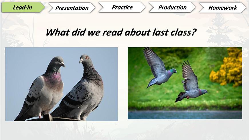 2025年新外研版英语七上：Unit 5 语法课 课件第2页