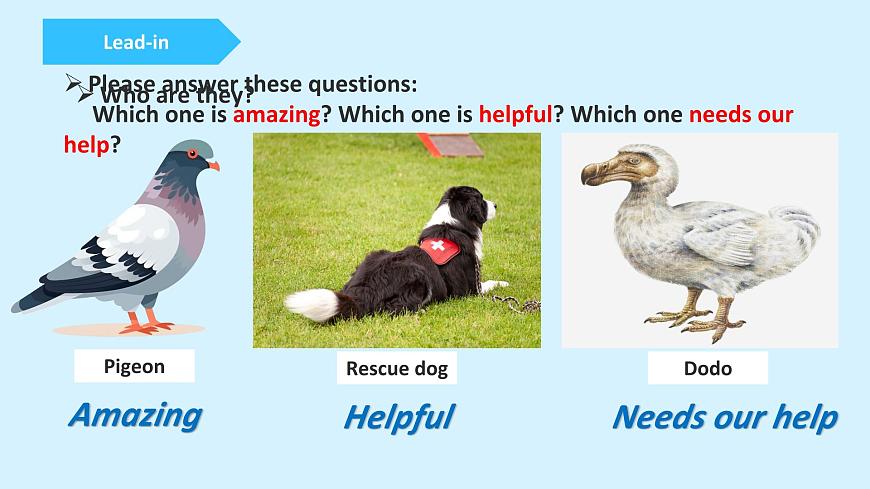 2025年新外研英语七上：Unit 5 presenting ideas 课件第2页