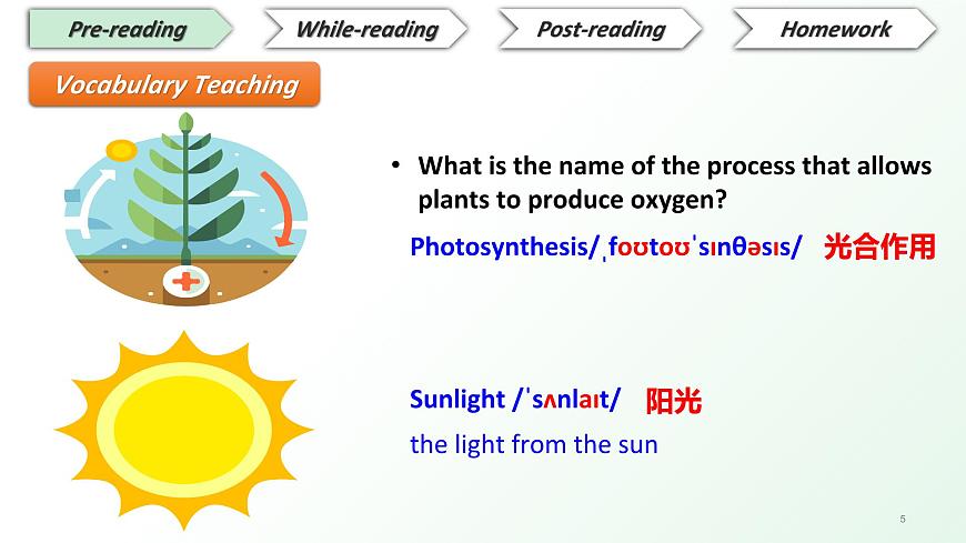 2025年新外研版英语七上：Unit 6 读思课 课件第5页