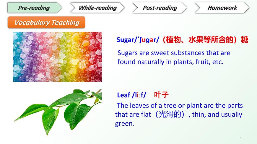 2025年新外研版英语七上：Unit 6 读思课 课件第7页