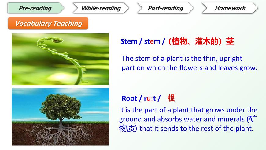 2025年新外研版英语七上：Unit 6 读思课 课件第8页
