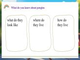 人教版初中英語七年級下冊Unit1 Animal Friends Section A (2a-2f) 課件+教案
