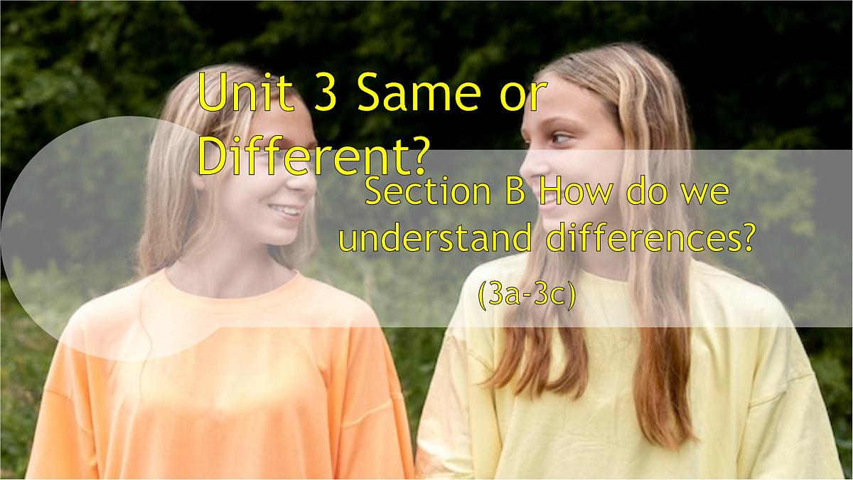 Unit 3 Same or Different L5（课件）2025-2026学年人教版八年级英语上册第1页