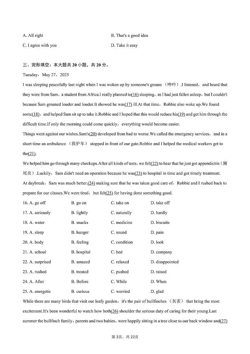 2025年四川省广元市中考英语试卷（含解析）第3页
