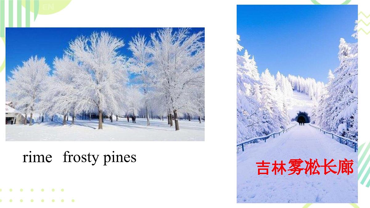 Unit 5 Amazing nature 课件 2024-2025学年外研版英语七年级下册第5页