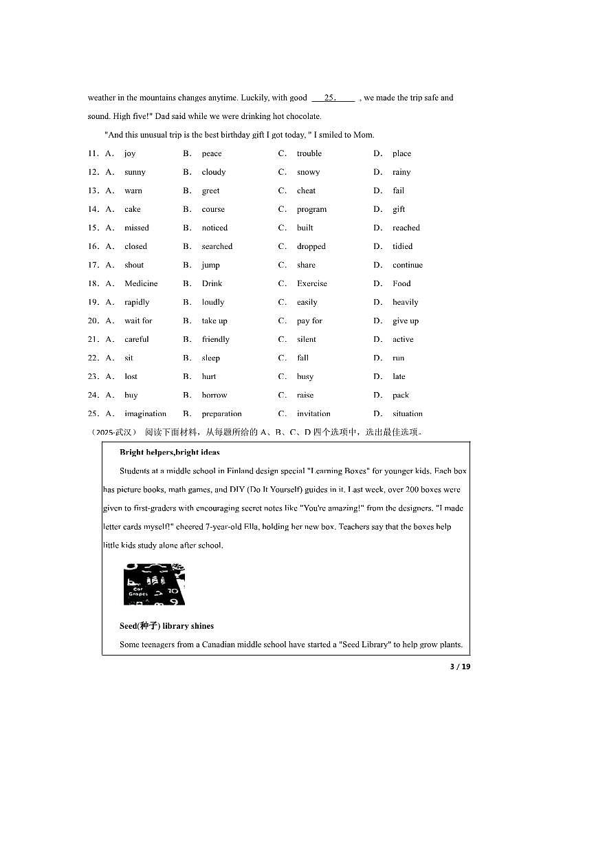 2025年湖北省武汉市中考英语真题试卷（PDF版，含解析）第3页