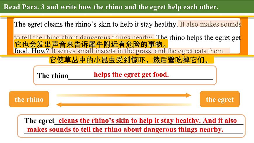 Unit 5 Lesson 2 The rhino and the egret课件第8页