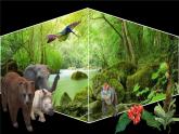 【創(chuàng)新情境】新冀教版初中英語7上 Unit 5 Lesson 4 My favourite animal課件+視頻