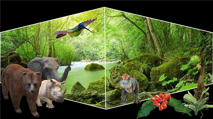 Unit 5 Lesson 4 My favourite animal课件第2页