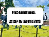 【創(chuàng)新情境】新冀教版初中英語7上 Unit 5 Lesson 4 My favourite animal課件+視頻