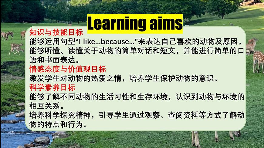 Unit 5 Lesson 4 My favourite animal课件第4页