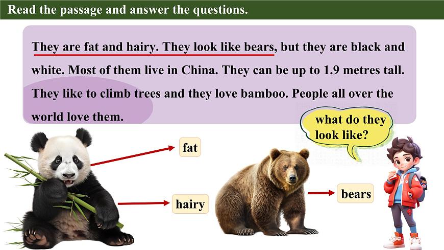 Unit 5 Lesson 4 My favourite animal课件第8页