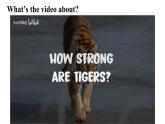 【創(chuàng)新情境】新冀教版初中英語7上 Unit 5 Lesson 5 Save the tigers!課件+視頻