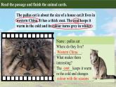 【創(chuàng)新情境】新冀教版初中英語7上 Unit 5 Lesson 6 lnteresting animals課件+音視頻