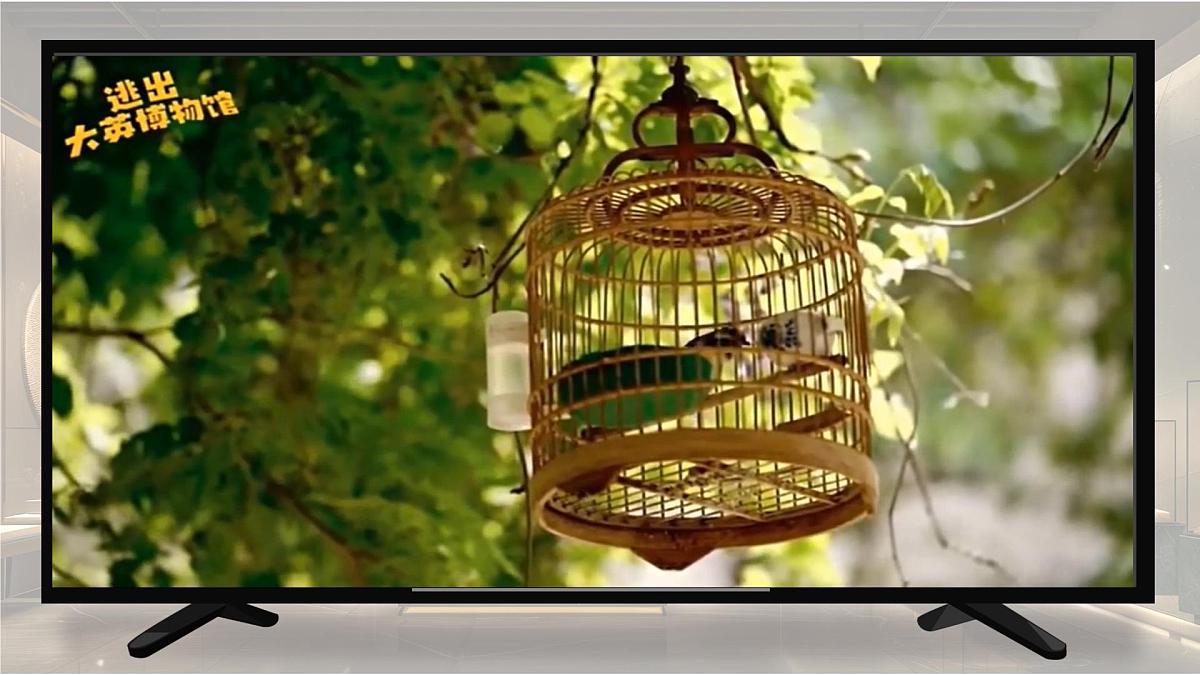 Unit 6 Let's go! Lesson 2 At the museum课件第6页