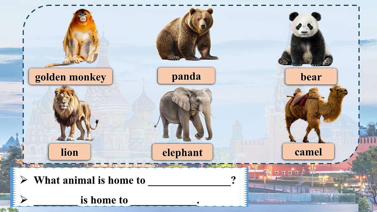 Unit 8 Lesson 2 My home country课件.zip第7页