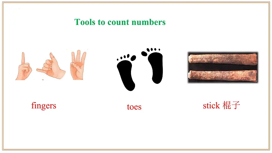 沪教版英语八年级上册 Unit 2 课时5 Section 4 Focusing culture,Cross-curricular connection,Project 同步课件第7页