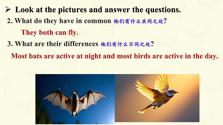 Unit 5 Lesson 3 Thinking Skills & Reading Strategies课件件-仁爱科普(2024)版英语七年级上册第5页