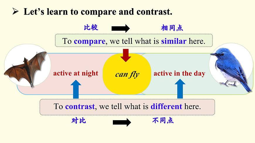 Unit 5 Lesson 3 Thinking Skills & Reading Strategies课件件-仁爱科普(2024)版英语七年级上册第6页