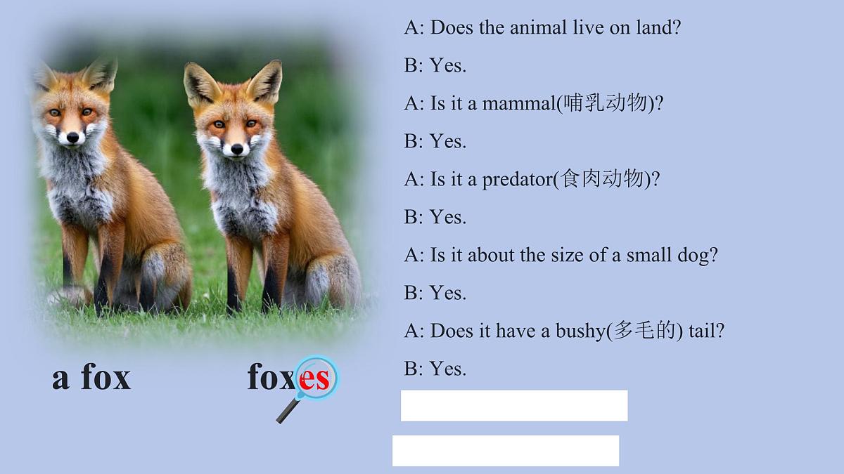 人教版（2024）七年级下册Unit 1 Animal Friends Section A Grammar Focus课件第4页