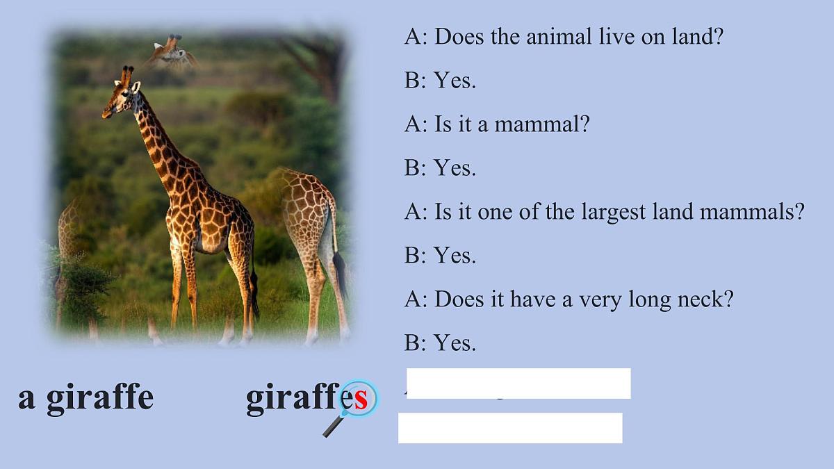 人教版（2024）七年级下册Unit 1 Animal Friends Section A Grammar Focus课件第5页