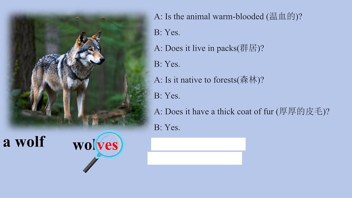 人教版（2024）七年级下册Unit 1 Animal Friends Section A Grammar Focus课件第6页