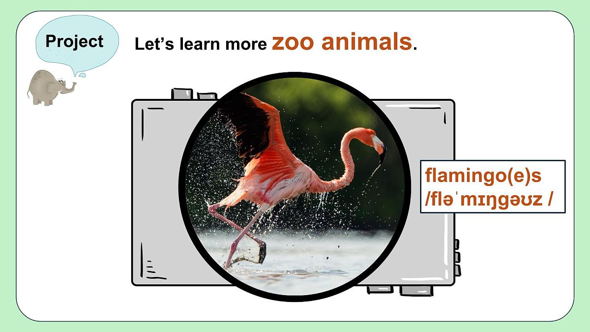 人教版（2024）七年级下册 Unit 1 Animal Friends Project 课件第4页