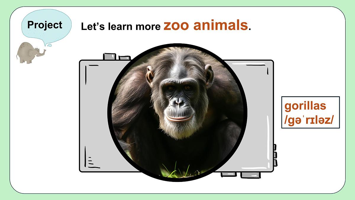 人教版（2024）七年级下册 Unit 1 Animal Friends Project 课件第5页