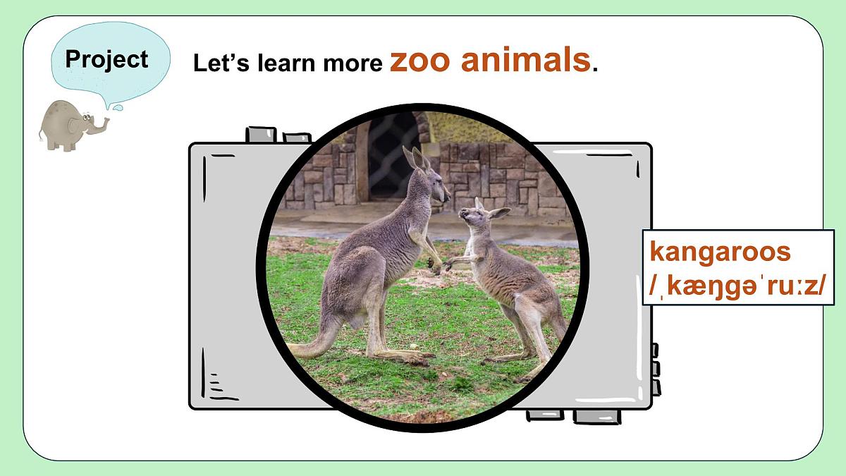 人教版（2024）七年级下册 Unit 1 Animal Friends Project 课件第6页