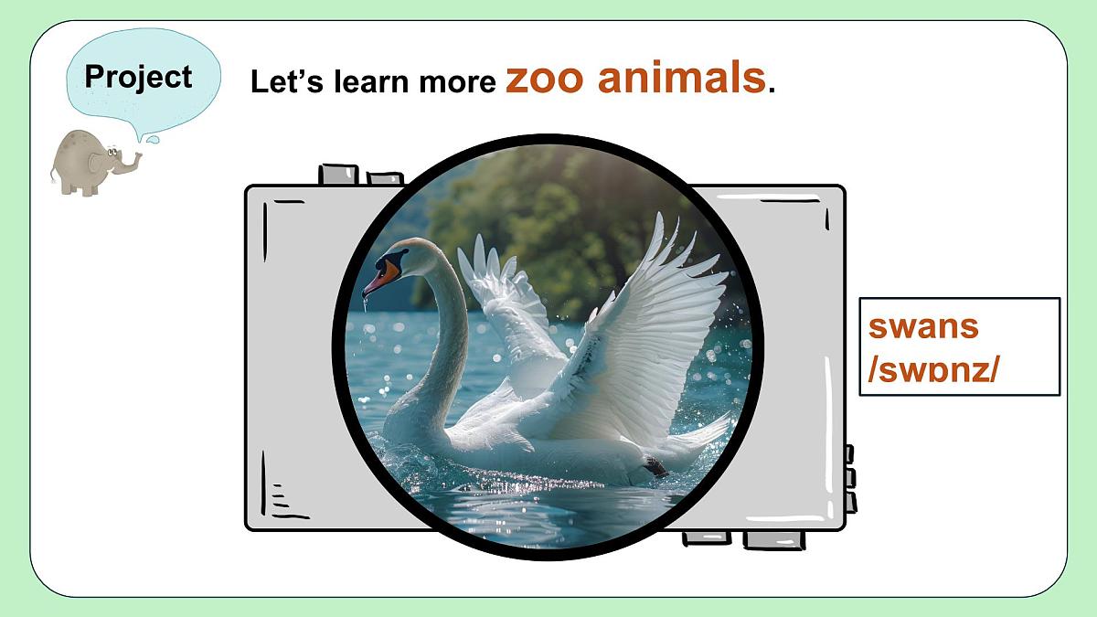 人教版（2024）七年级下册 Unit 1 Animal Friends Project 课件第8页