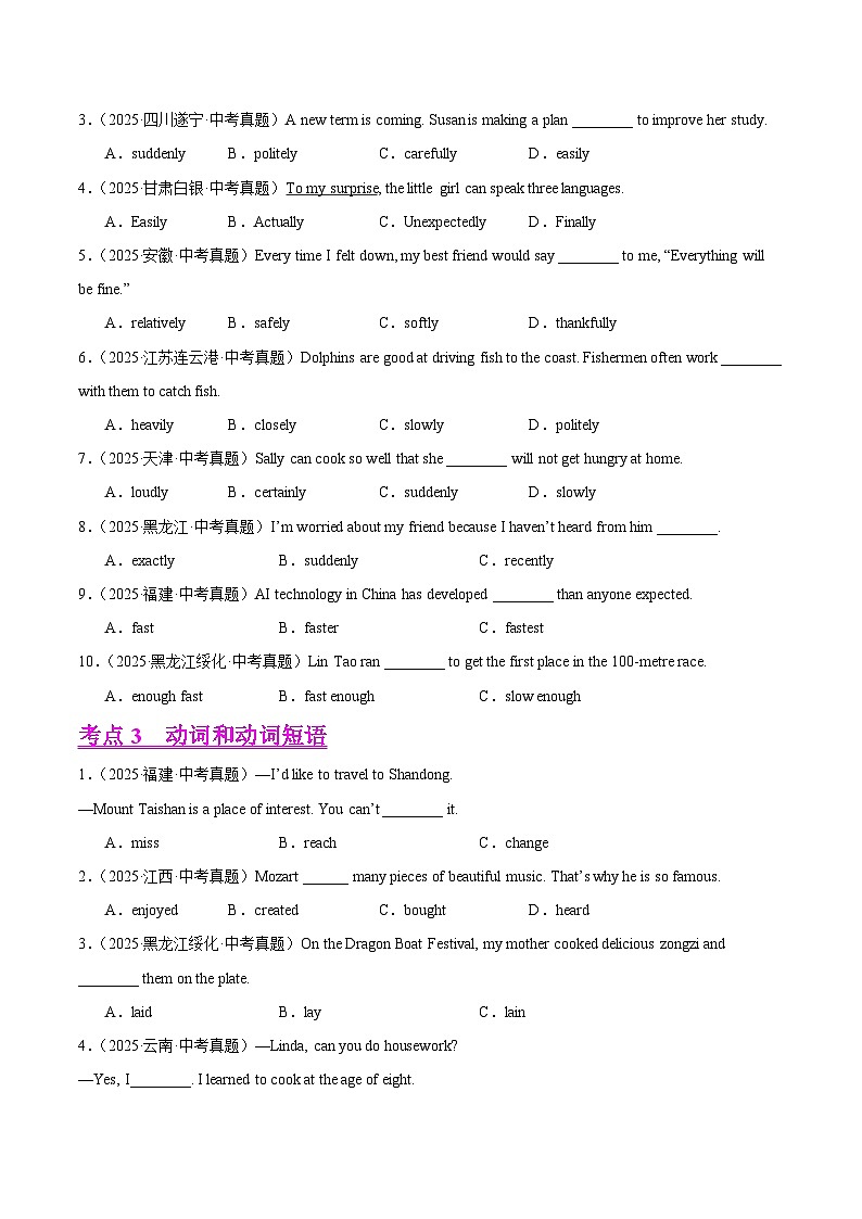 2025年中考英语真题分类汇编：专题03 形容词、副词及动词和动词短语（全国通用）（第01期）（原卷版）第3页