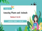 【新教材核心素养】人教版英语八年级上册Unit 4 Amazing Plants and Animals课时1 Section A（1a-1d）（教学课件+教学设计）