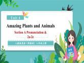 【新教材核心素养】人教版英语八年级上册Unit 4 Amazing Plants and Animals课时2 Section A（Pronunciation&2a-2e）（教学课件+教学设计）