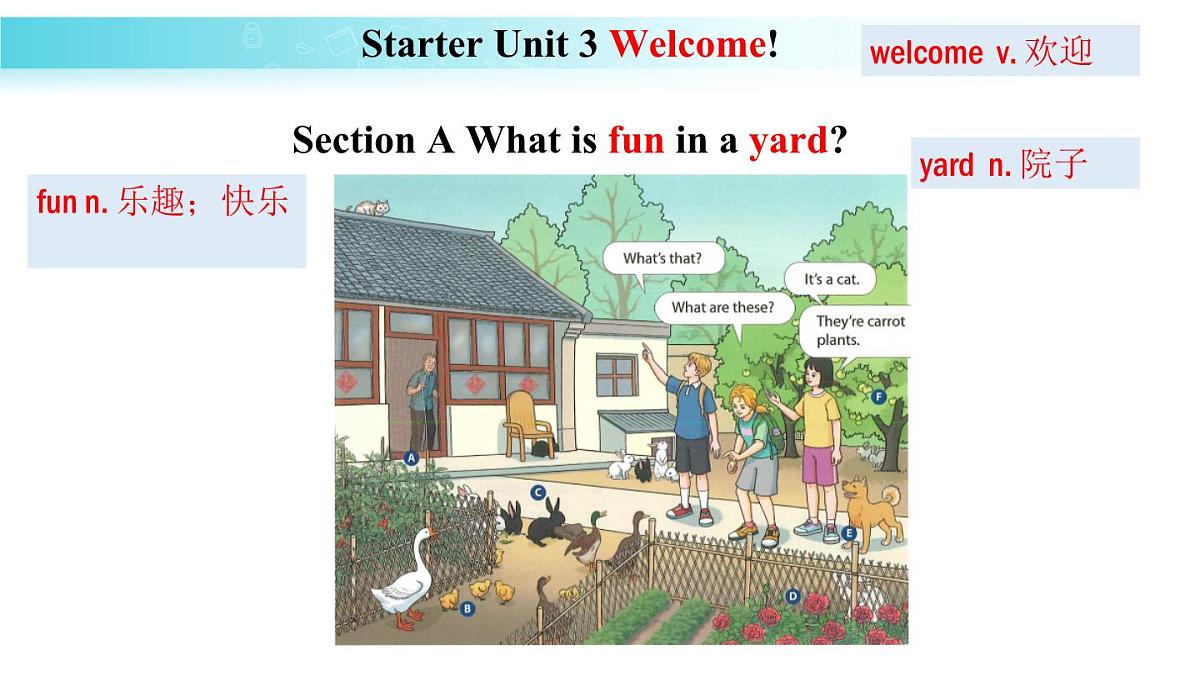 25秋（2024人教版）七年级英语上册-Starter Unit 3 课时1 Section A（1a-2d）（同步课件）第3页