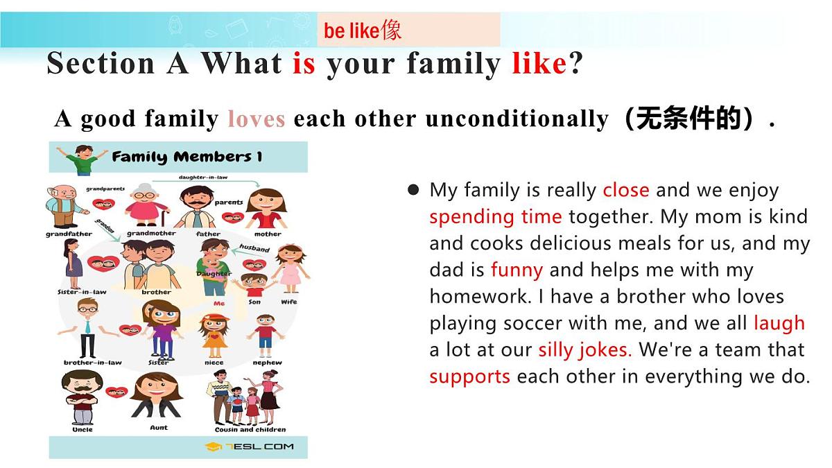 25秋（2024人教版）七年级英语上册-Unit 2 课时1 Section A（1a-pronunciation）（同步课件）第8页