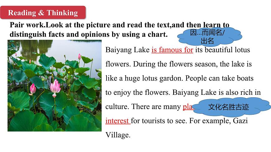 U5L3  Thinking skills & Reading Strategies第4页