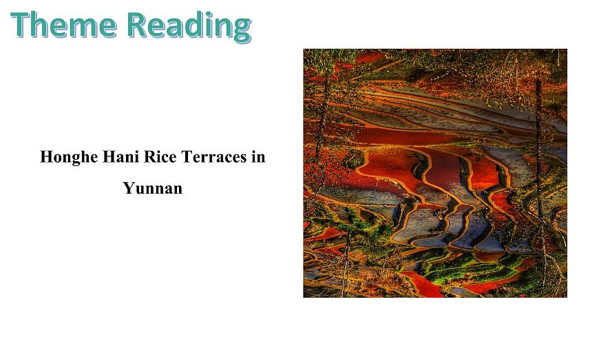 U5L4 Theme Reading第3页