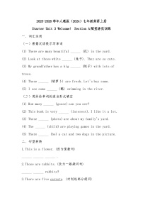 人教版（2024）七年级上册（2024）Unit 1 Hello! Section A练习题