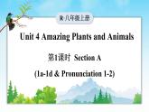 人教版（2024）英语八年级上册 Unit 4 Amazing Plants and Animals 第1课时（Section A 1a-1d & Pronunication）(课件+音频视频）