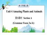 人教版（2024）英语八年级上册 Unit 4 Amazing Plants and Animals 第3课时（Section A 3a-3c）(课件+音频视频）