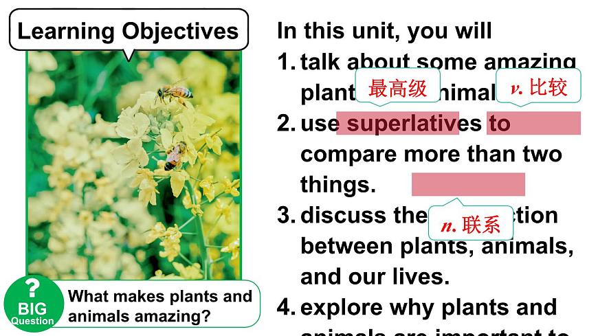 第1课时(Section A 1a-1d & Pronunication)第2页