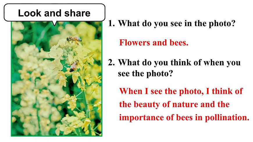 第1课时(Section A 1a-1d & Pronunication)第3页