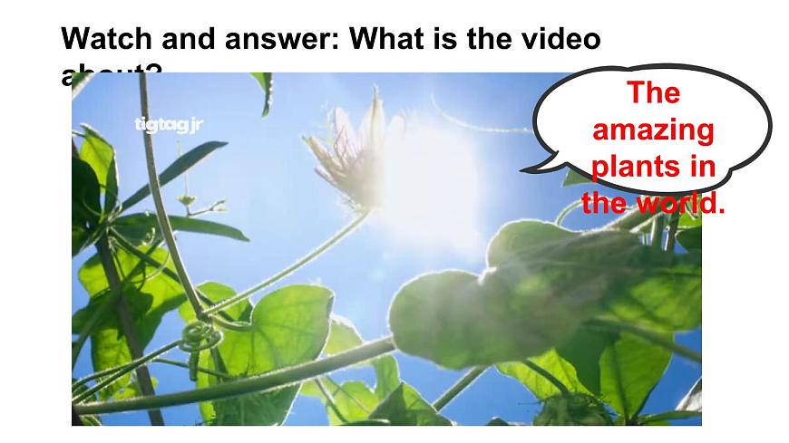 第1课时(Section A 1a-1d & Pronunication)第4页